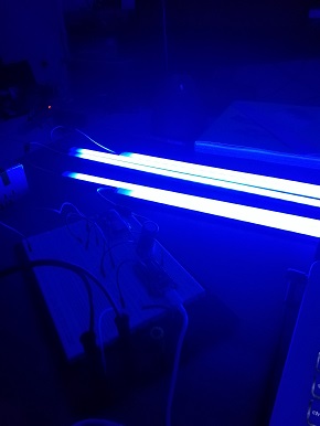 Fourth project: Interactive creative coding with leds